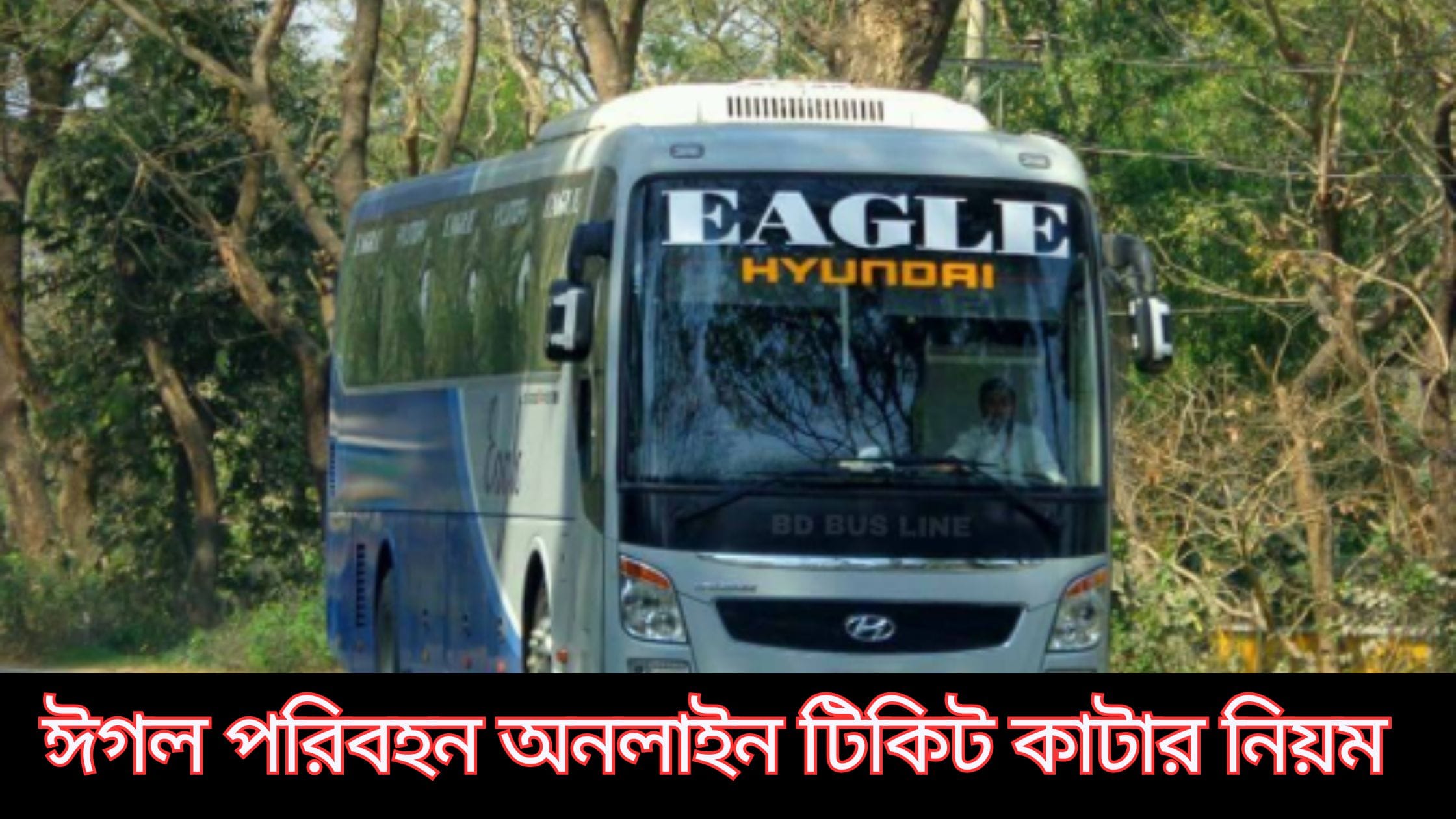 ঈগল পরিবহন অনলাইন টিকিট কাটার নিয়ম: সহজ ও পূর্ণাঙ্গ গাইড 1 ঈগল পরিবহন অনলাইন টিকিট কাটার নিয়ম